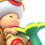 Toad
